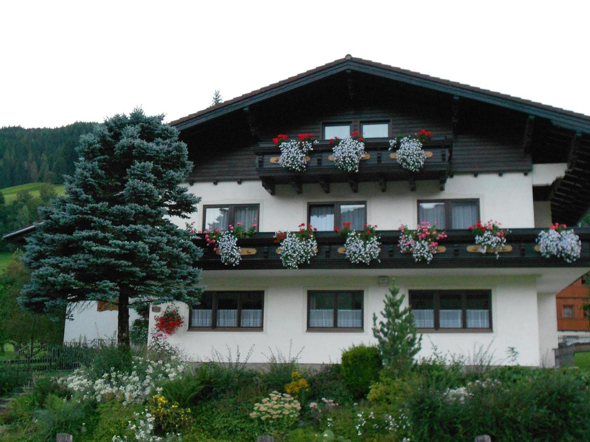 Pension Thorerhof Haus im Ennstal Exteriér fotografie